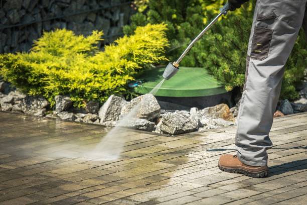 Best Factory Floor Cleaning  in Immokalee, FL
