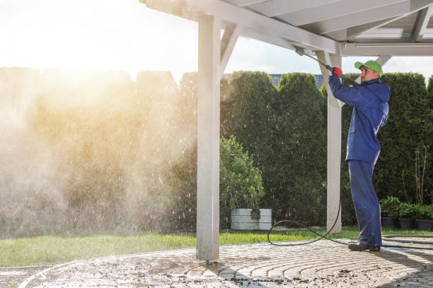 Spring Cleaning in Immokalee, FL