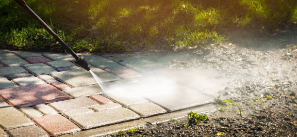 Solar Panel Cleaning in Immokalee, FL